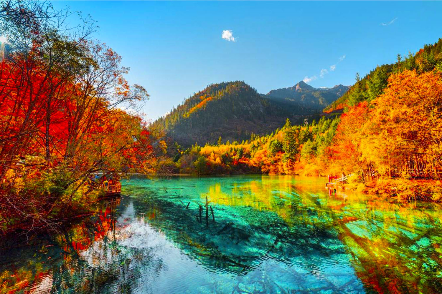thanh-do-cuu-trai-cau-lac-son