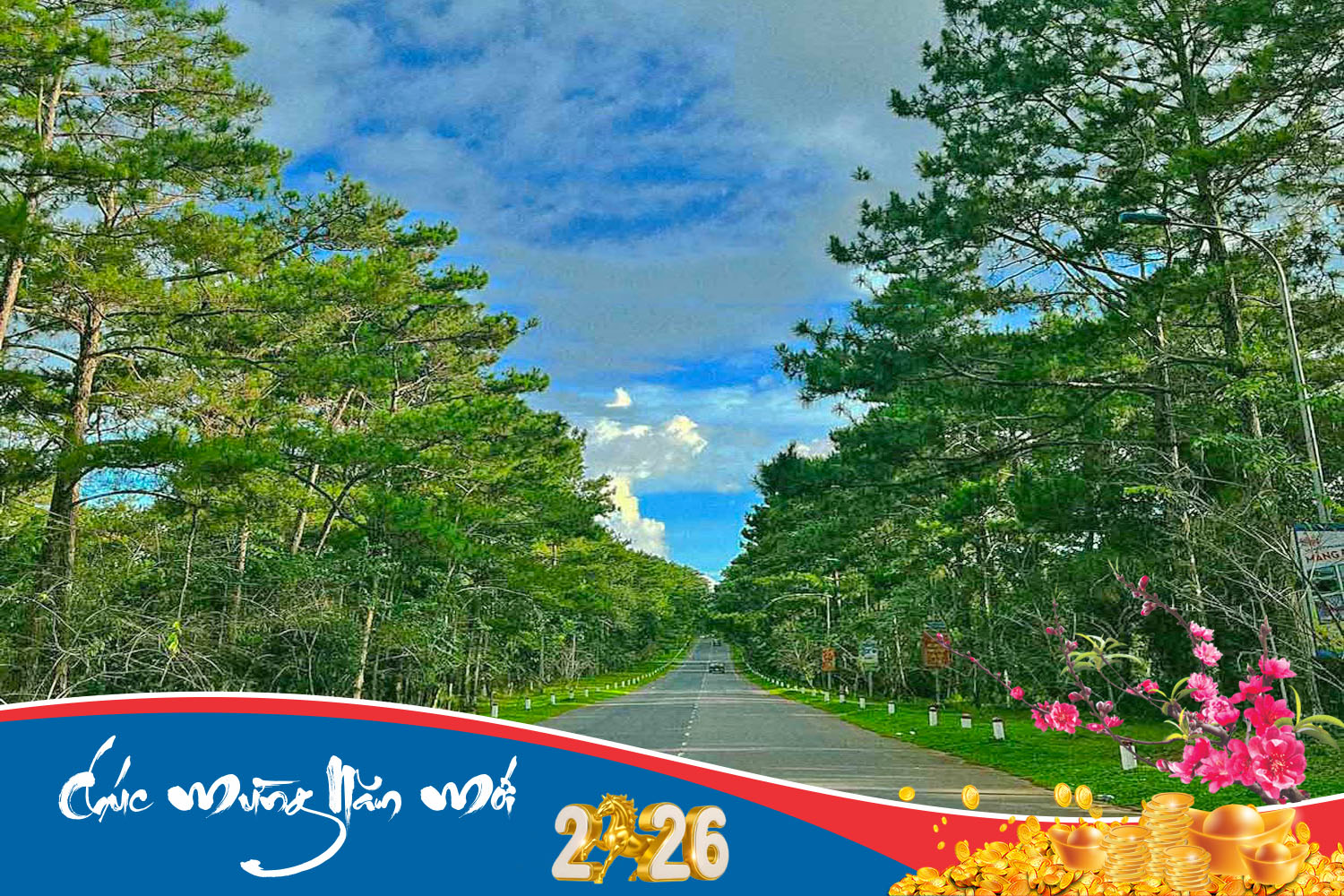 te-t-mang-den-180226