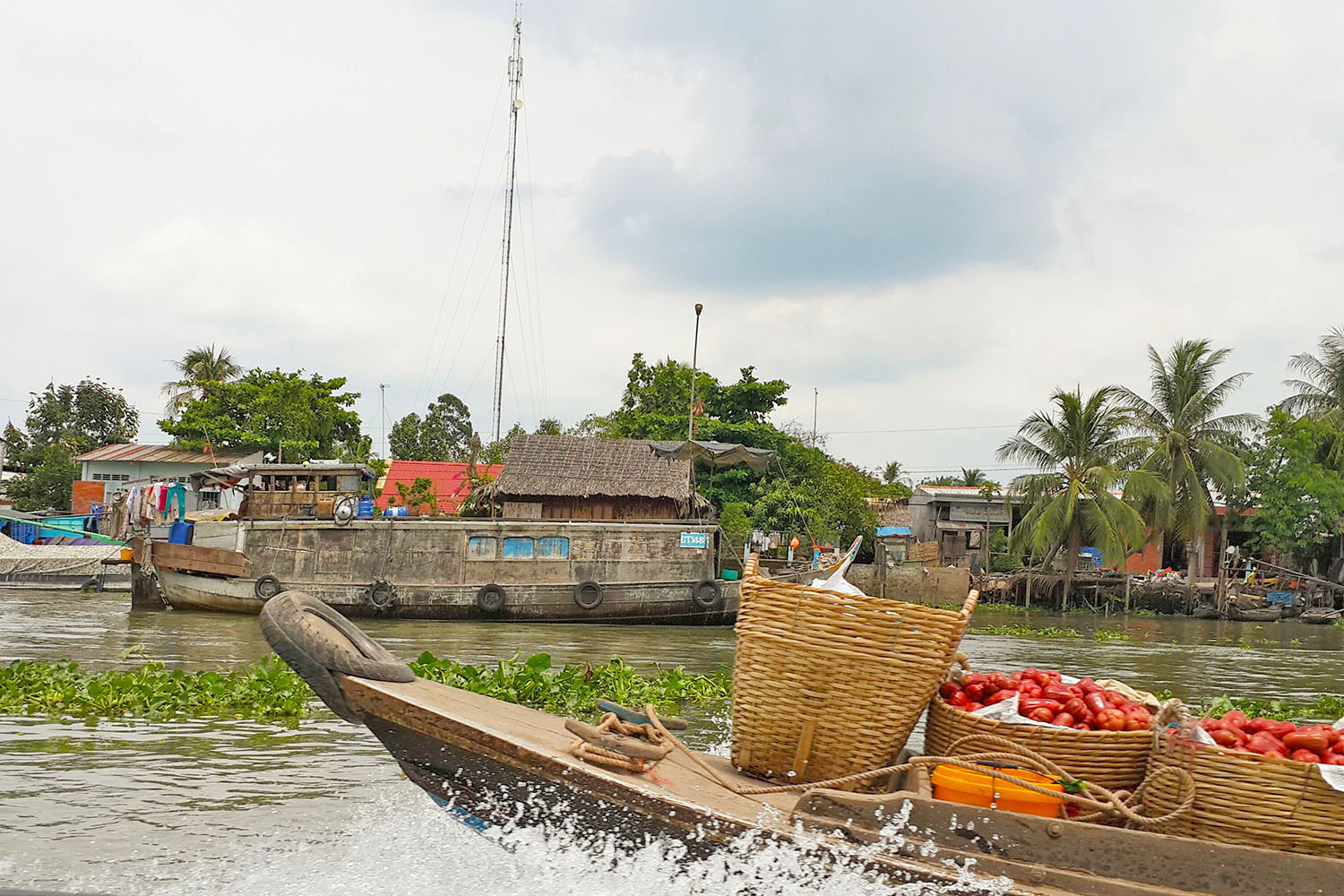 cai-thia-vinh-long-311225