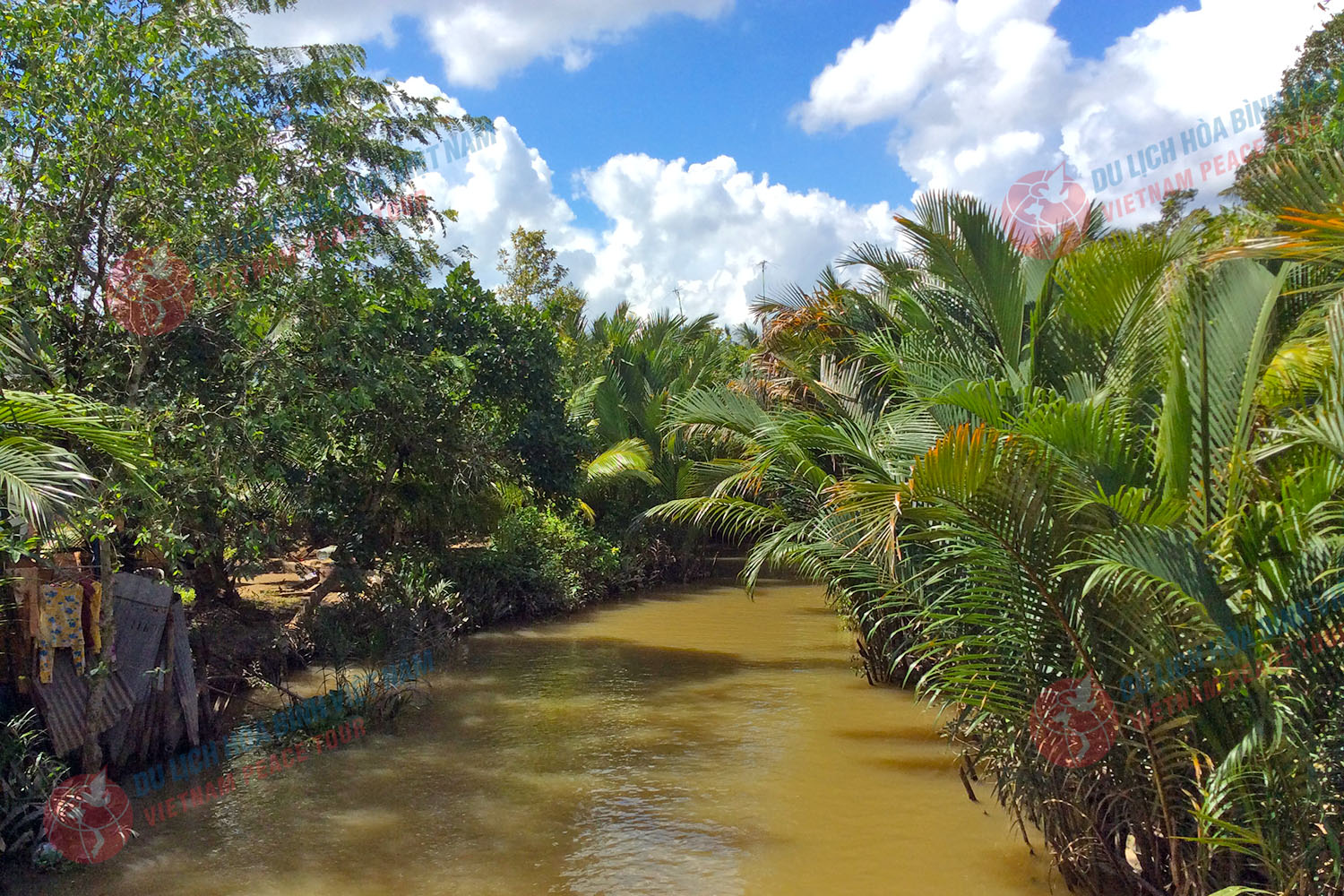 my-tho-can-tho-soc-trang-bac-lieu-ca-mau-311025